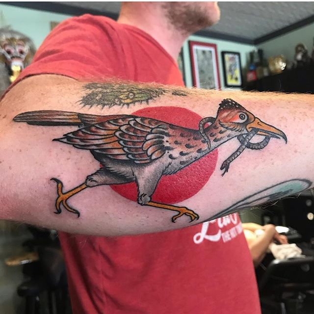 Traditional Roadrunner and Snake tattoo by Lynsey Autumn of Godspeed Tattoo  Breckenridge Colorado  Album on Imgur